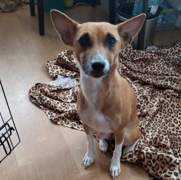 Meet your Posher, Lei - Picture 5 of 5